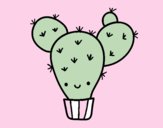 Cactus nopal