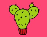 Cactus nopal