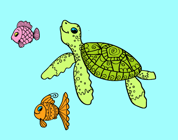 la tortuga y los peces