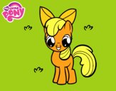 Apple Bloom