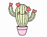 Cactus corazón