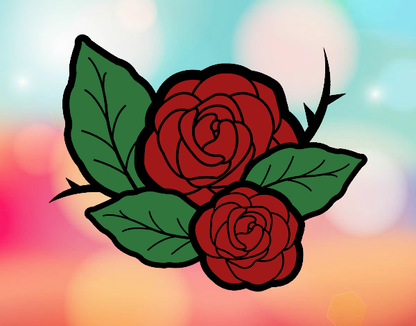 rosas gemelas