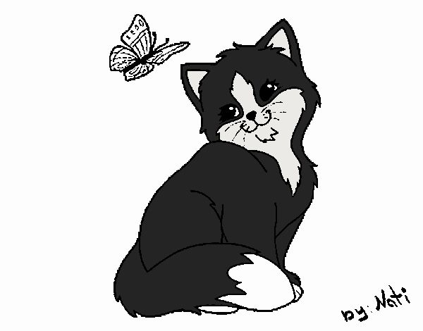 Gatito y mariposa