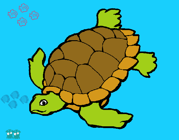 Tortuga