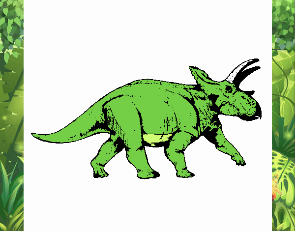 Triceratops 1