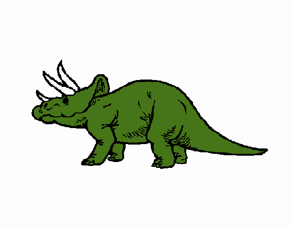 Triceratops