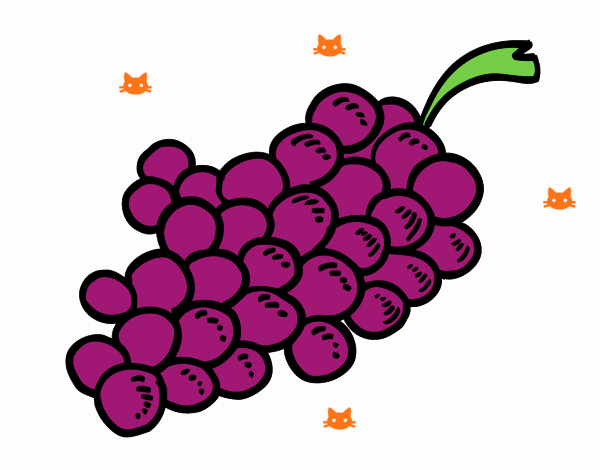bonita uva
