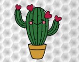 Cactus corazón