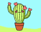 Cactus corazón