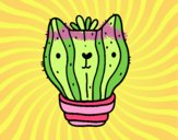 Cactus gato