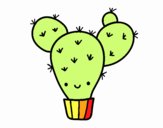 Cactus nopal