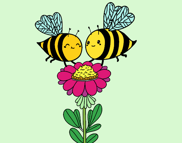 Pareja de abejas