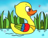 Patito de río