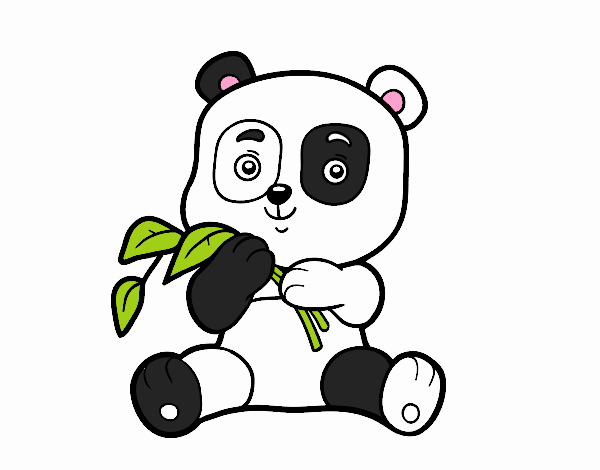 Un oso panda