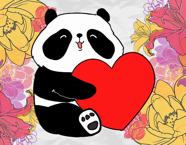 Amor Panda