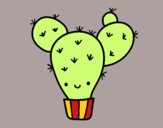 Cactus nopal