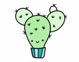 Cactus nopal