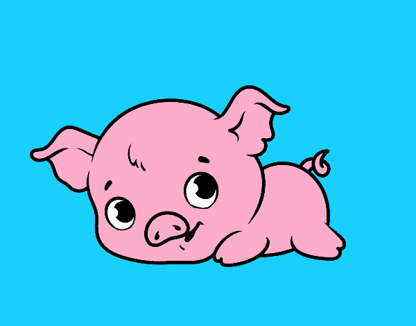 Cerdito bebe 