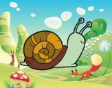 El caracol