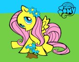 Fluttershy