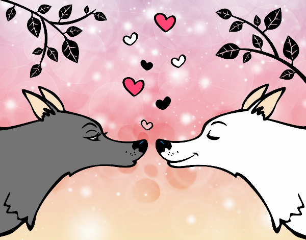 Lobos enamorados