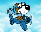 Perro piloto