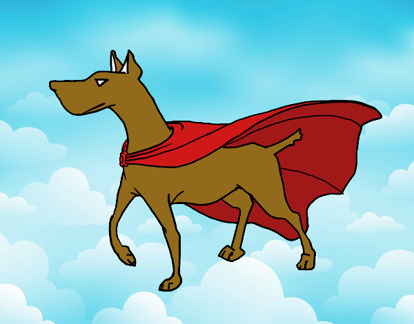 Perro superhéroe