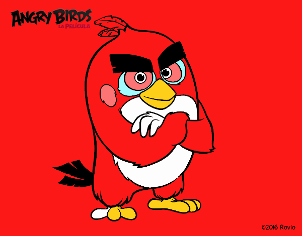 Red de Angry Birds