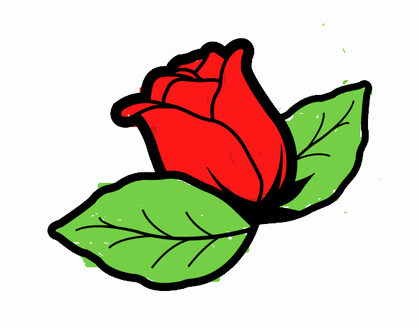Rosa de la naturaleza roja