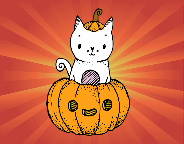 Un gatito de Halloween