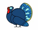 Un pavo