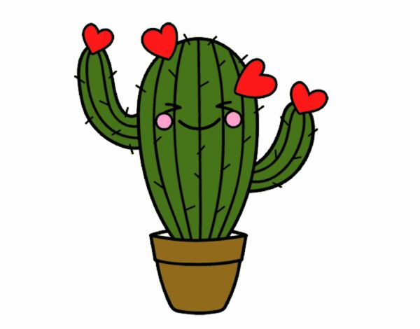 Cactus corazón