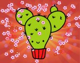 Cactus nopal