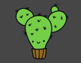 Cactus nopal