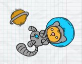 Gatito astronauta