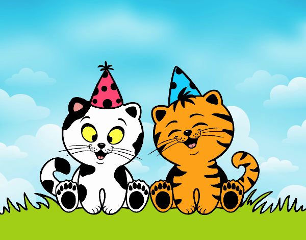 Gatos de cumpleaños