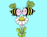 Pareja de abejas