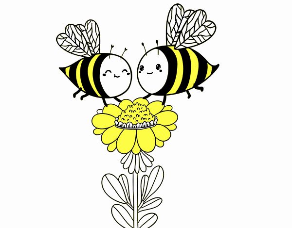 Pareja de abejas