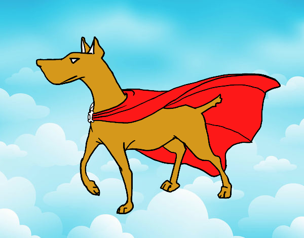 Perro superhéroe