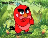 Red de Angry Birds