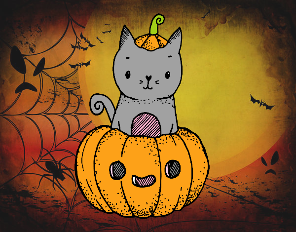 gatito calabaza