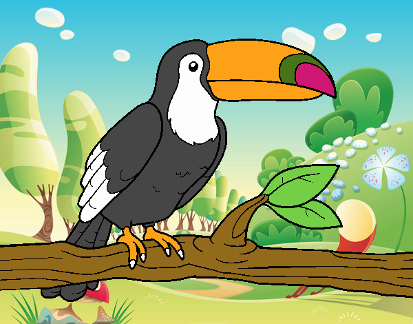 tucan