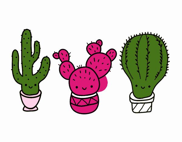 3 mini cactus