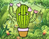 Cactus corazón