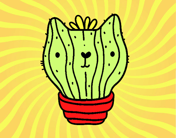 Cactus gato