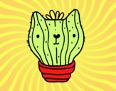 Cactus gato