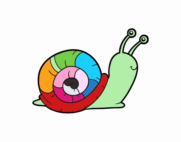 El caracol