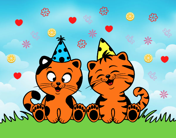 Gatos de cumpleaños