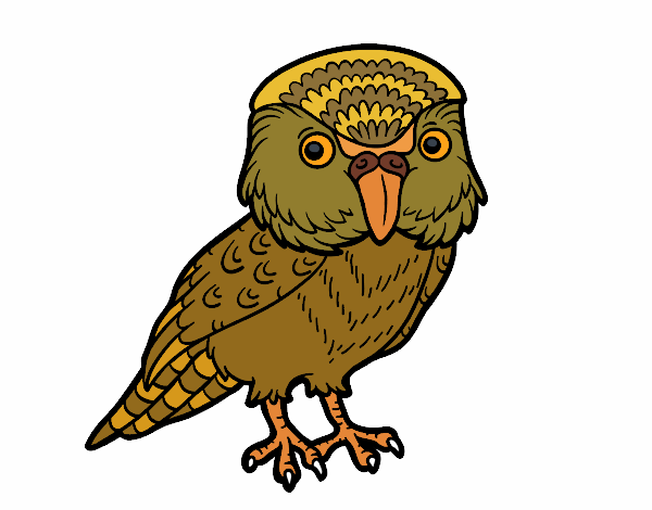 Kakapo