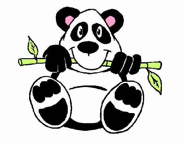 Oso panda